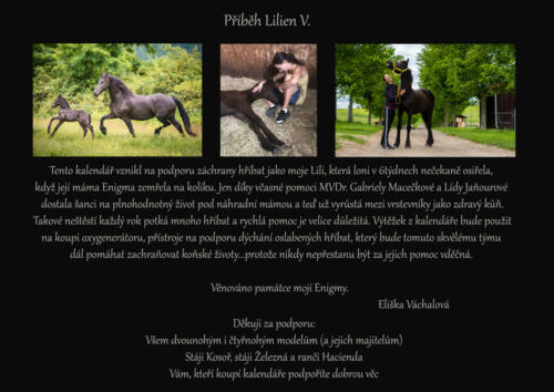 Poslední strana